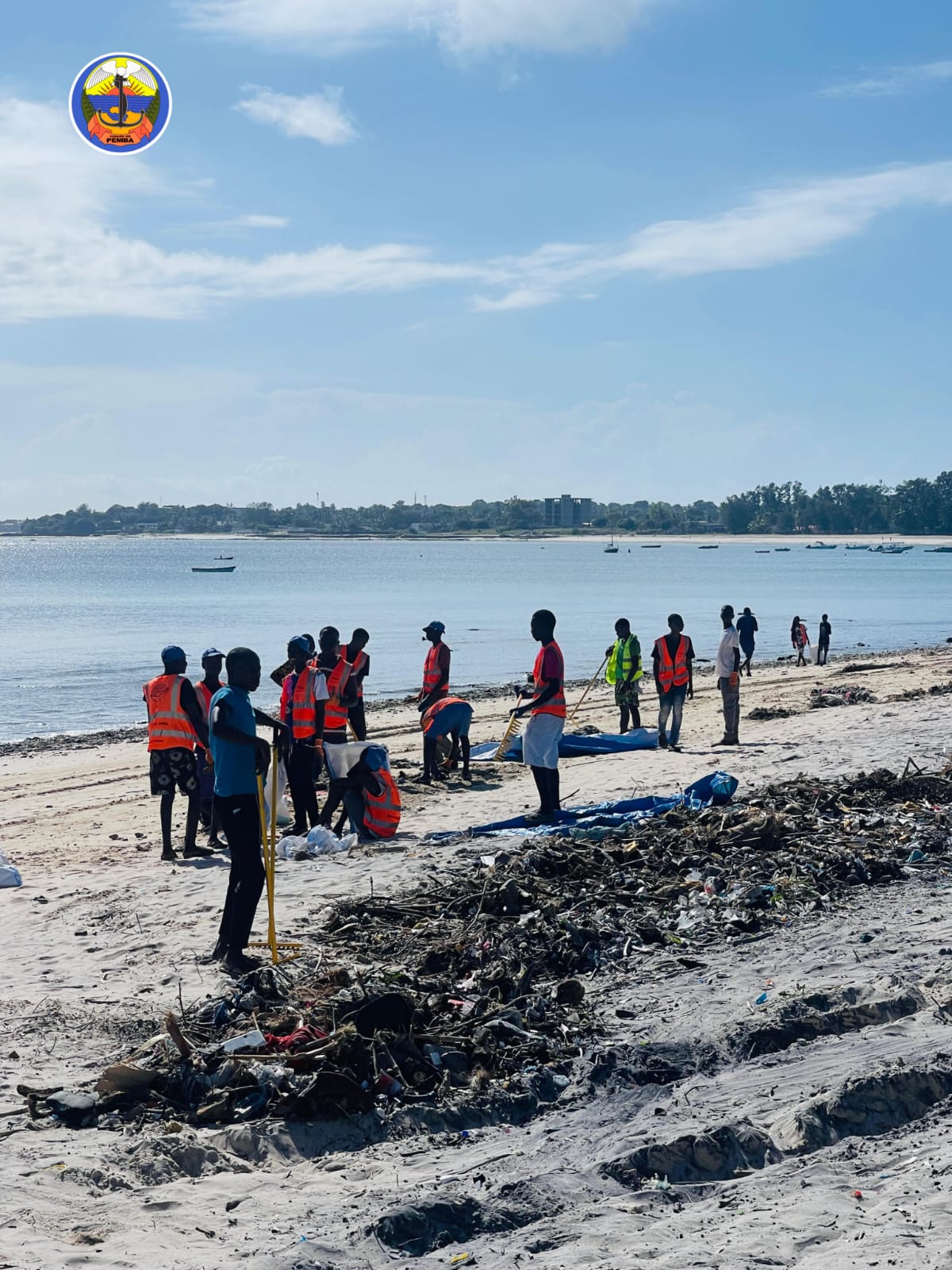 CMCP e Parceiros unem-se na limpeza da Praia do Wimbe